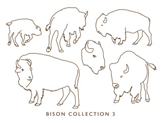 Bison Illustration Collection 3 - Outline - Many Poses
