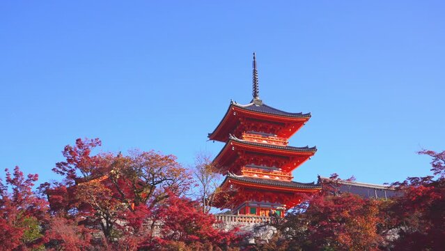 京都　清水寺の三重塔と紅葉