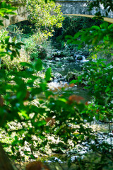 沖縄　公園