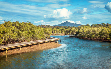 Fototapeta premium The view of the Urunga Lagoon and wetland from the Urunga Boardwalk in sunny days