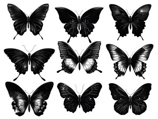 set of butterflies silhouettes on white 