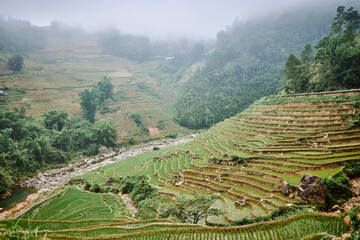 village rice fields and misty mountains in sapa, vietnam - 742191916