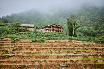village and terrace rice fields and misty mountains in sapa, vietnam - 742191935