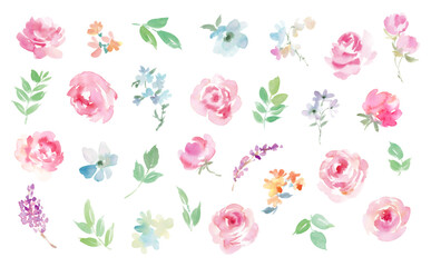 水彩で描いた抽象的なバラと草花のベクターイラスト素材セット	
