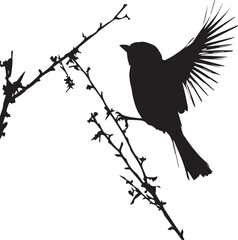Black silhouette Sparrow bird on the branch white background