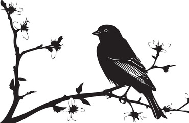 Black silhouette Sparrow bird on the branch white background