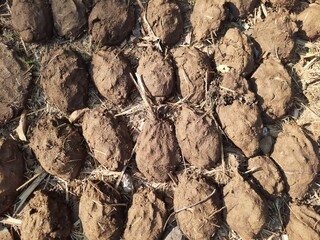 Bird’s Eye View of Traditional Cow Dung Cakes Drying