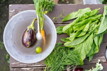 Eggplant, onions, carrots lie in water in container next to parsley and green leaves on rustic wooden table outdoors in vegetable garden, showcasing array of natural foods and plantbased ingredients