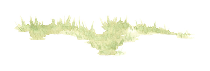 Watercolor illustration of green fluffy grass. Element of natural lawn with lush vegetation. Isolated on a white background. Background element for the design of gardens, landscapes, parks, forests