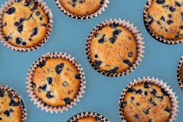 Fresh baked blueberry muffins top view flat lay. Tasty Sweet cupcake. Pastry homemade dessert....