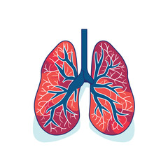 Human lungs flat design vector illustration