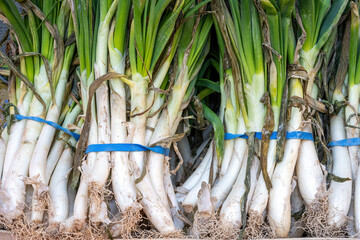 Fresh scallions for sale at a market