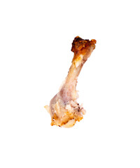 Chicken bone on a transparent background PNG 