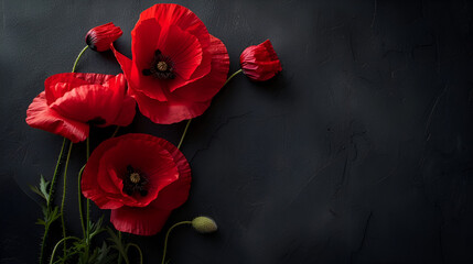 Red poppies on a black background. Remembrance Day, copy space, generative ai