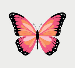 vector colorful butterfly illustration