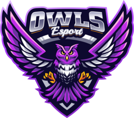 Owls mascot