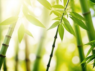 Background blurred light green, yellow, pastel colors, bamboo leaves, bamboo trunks and branches in the foreground, diffused sunlight in the morning