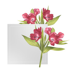 Bouquet of alstroemeria. Beautiful Peruvian Lilly. Greeting card made of pink flowers with greenery. Watercolor illustration for background design, banner, invitation. Save the date