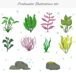Freshwater cartoon illustrations set clipart
