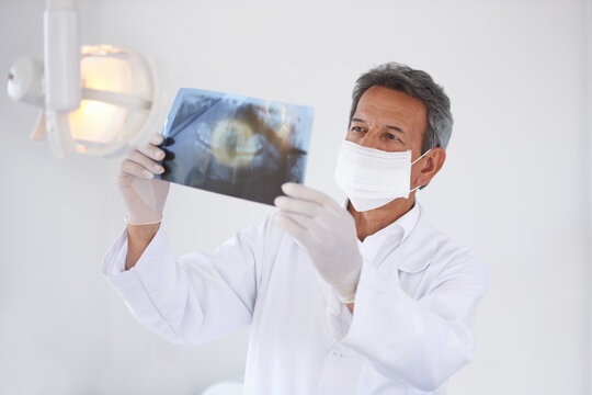 Senior dentist, man and xray of teeth for dental surgery, healthcare and oral health with face mask in clinic. Medical professional with analysis of scan, radiology and orthodontics with mouth care