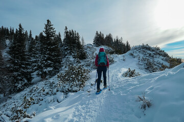 Woman with snowshoes in snow covered meadow on way to Hochanger, Muerzsteg Alps, Styria, Austria....