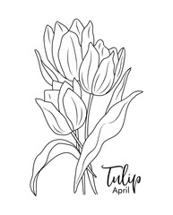 Tulip April birth month flower outline drawing. Modern minimalist hand drawn floral design for logo, tattoo, packaging, card, wall art. Line art vector illustration isolated on transparent background.