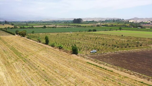 Camioneta suv en el campo paisaje
