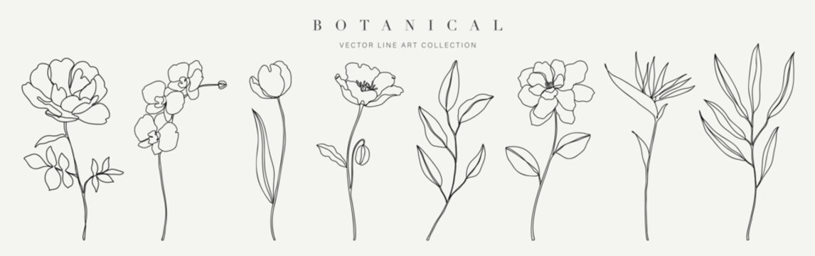 Set botanical hand drawn element vector. Collection of foliage, branch, floral, leaves, wildflower in one line art. Minimal style blossom illustration design for logo, wedding, invitation, decor.