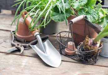garden tools with a little shovel on a wooden table among  flowerpot and plant