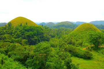 The Chocolate Hills in the Philippines