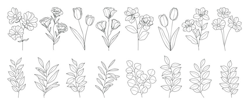 Set botanical hand drawn element vector. Collection of foliage, branch, floral, leaves, wildflower in line art. Minimal style blossom illustration design for logo, wedding, invitation, decor.