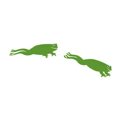 frog jumping illustration 
