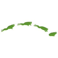 frog jumping illustration 