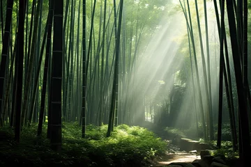 Schilderijen op glas quiet and peaceful bamboo forest in the morning light © SaroStock