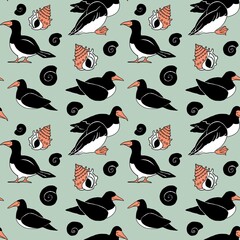 カツオドリと貝殻のパターン