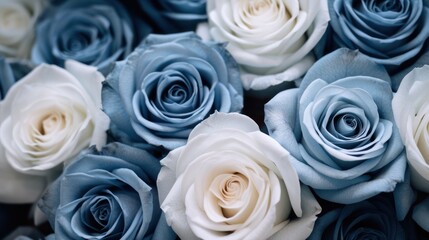 Close-up of blue white rose top view.