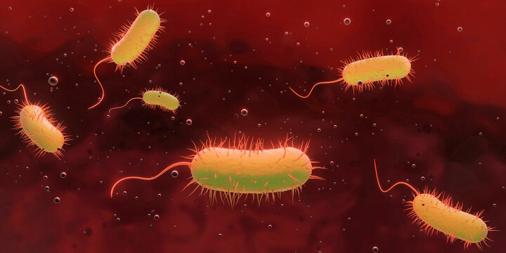 Hintergrund Viren, Bakterien, multiresistente Keime im Blut