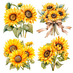 Sunflower watercolor set isolated on white background. Summer yellow blossom flowers collection. Hand drawn illustration - 742413739