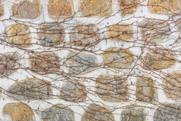 Stone wall background with ivy stems remaining