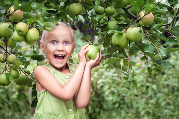 Apples for Children. Happy Child Little Girl Picking Apples in Apple Garden. Green Apple Harvest....