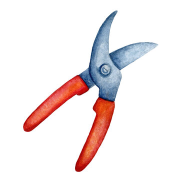 recommend clip art: Watercolor hand drawn hand pruner. Isolated illustration of gardening tool for cutting branches and plants on white background for label, packaging, print