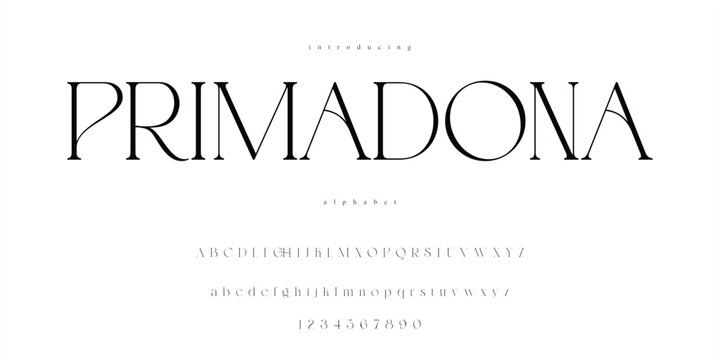 Elegant Serif Font Roman Alphabet Typeface Primadona