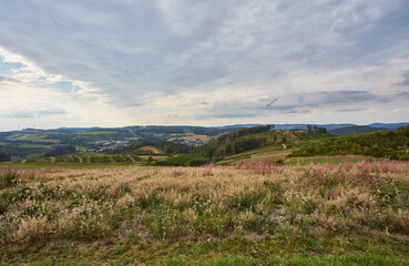 Fototapeta na wymiar Landschaft im Sauerland, Eslohe-Cobbenrode, Hochsauerlandkreis, NRW, Deutschland, Germany, 2023