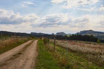 Obraz premium Landschaft im Sauerland, Eslohe-Cobbenrode, Hochsauerlandkreis, NRW, Deutschland, Germany, 2023