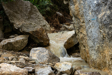 Fototapeta na wymiar Dirty mountain river after rain, among wild rocks.