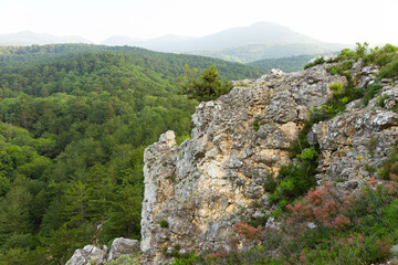 Fototapeta na wymiar Gray wild rocks and wild green forest. View from above. Landscape.