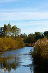 Fototapeta premium Autumn landscape, beautiful view of a small river with trees, bushes and reeds.