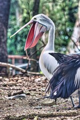 Port Douglas, Queensland, Australia