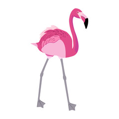 Pink flamingo icon isolated on transparent and white background. Close-up element for banner and sale design decoration. Exotic tropical bird. Vector summer cartoon illustration.