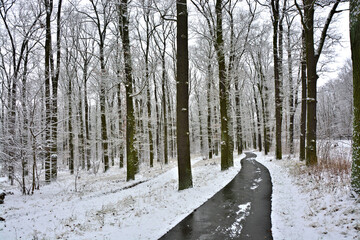 Radweg im Winterwald